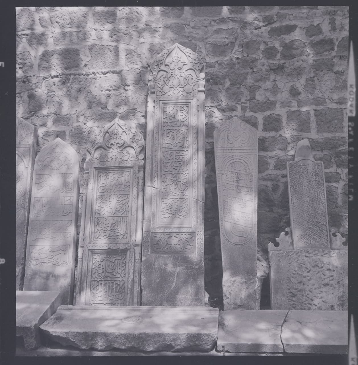 Paolo Monti · CC BY-SA 4.0